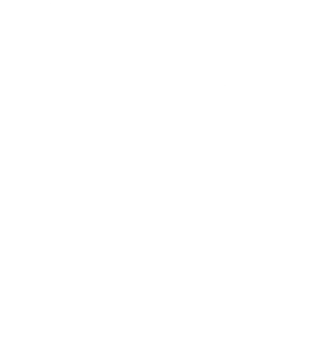 Paula Alves - Reinigungsservice - Dokumentensymbol